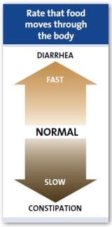 Brzina kojom hrana prolazi kroz tijelo