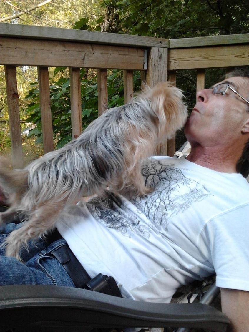 How Dogs Show Theyre Happy to See Owners 03.