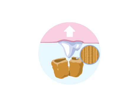 hrana za kućne ljubimce uklanja naslage na zubima ilustracija