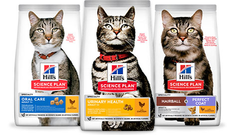 Science Plan Urinary, Oral & Hairball Perfect Coat Cat foods