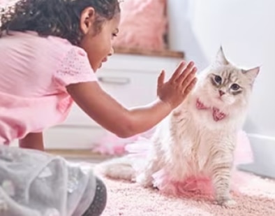 Mlada djevojčica igra se s mačićem