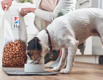 Pas jede Hill’s Pet hranu