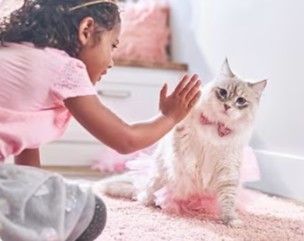 Mlada djevojčica igra se s mačićem