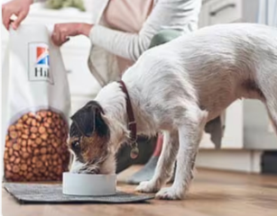 Pas jede Hill’s Pet hranu