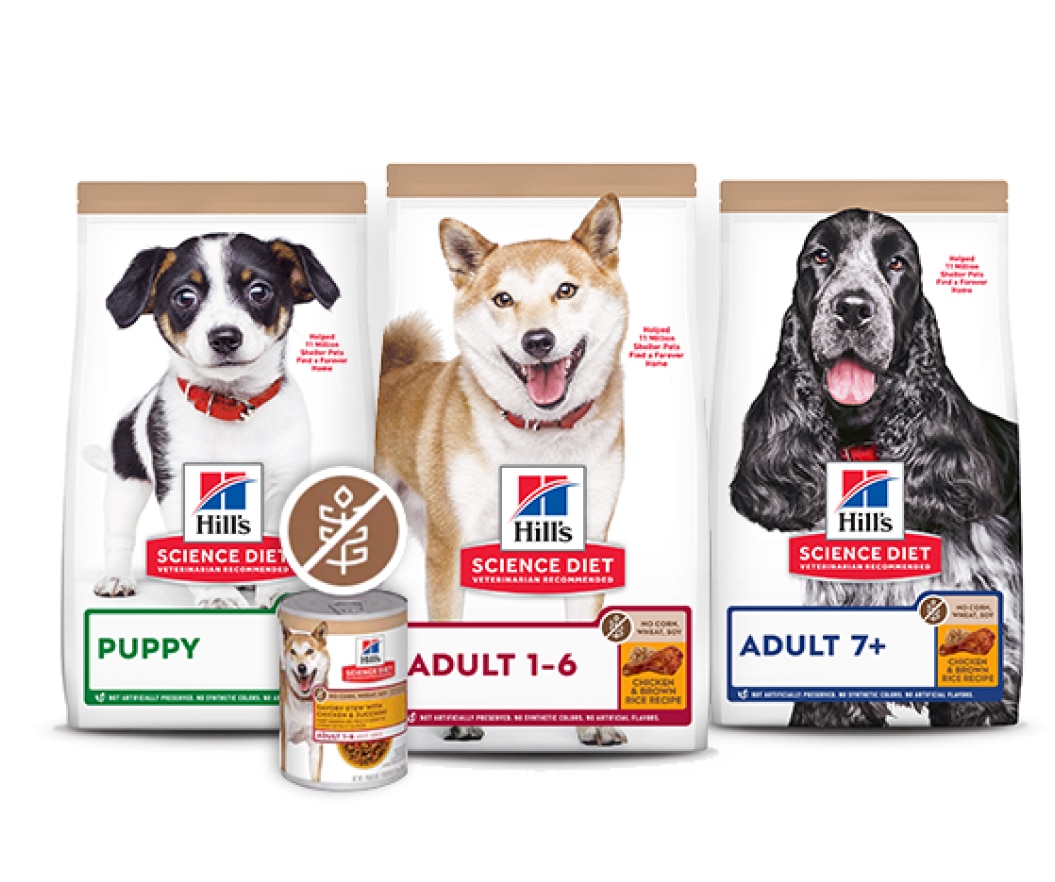 Hrana za pse bez kukuruza, pšenice ili soje]