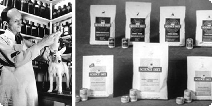 Dr. Mark Morris Jr. radi s kućnim ljubimcem