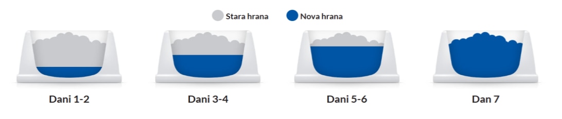 Hill's food transition