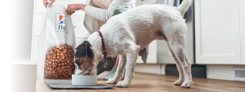 Pas jede Hill'sovu hranu za kućne ljubimce