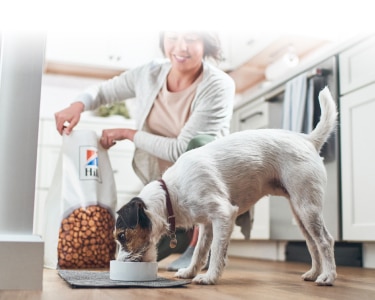 Pas jede Hill'sovu hranu za kućne ljubimce