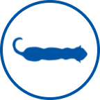 Ikona mršave mačke